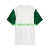 Maillot de Foot Palmeiras Extérieur 2025